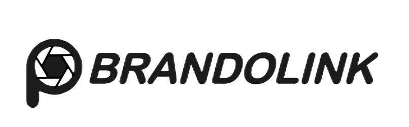 BRANDOLINK‘s logo
